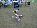 091103-M25_s.jpg