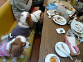 091103-M27_s.jpg